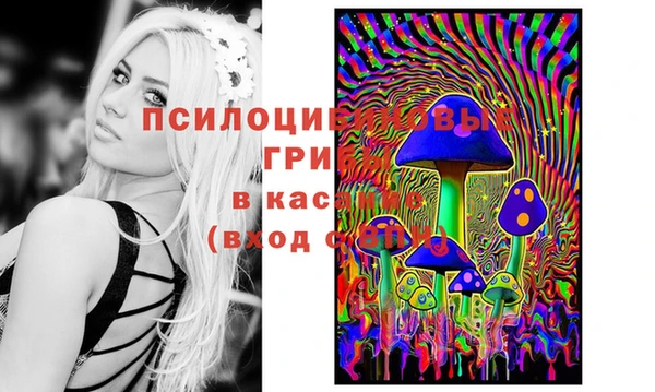герыч Алексин