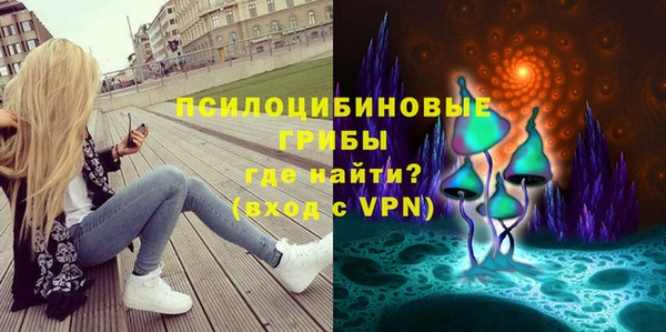 дурь Аркадак