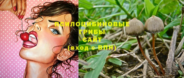 дурь Аркадак