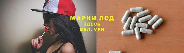 дурь Аркадак