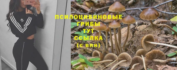 дурь Аркадак