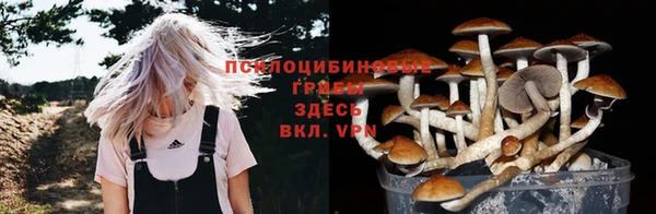 гашик Армянск