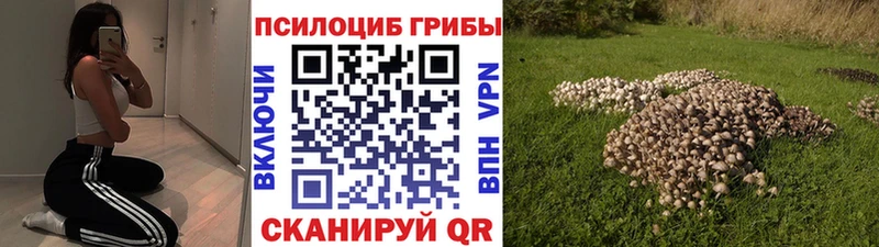 Псилоцибиновые грибы Magic Shrooms Нижний Ломов